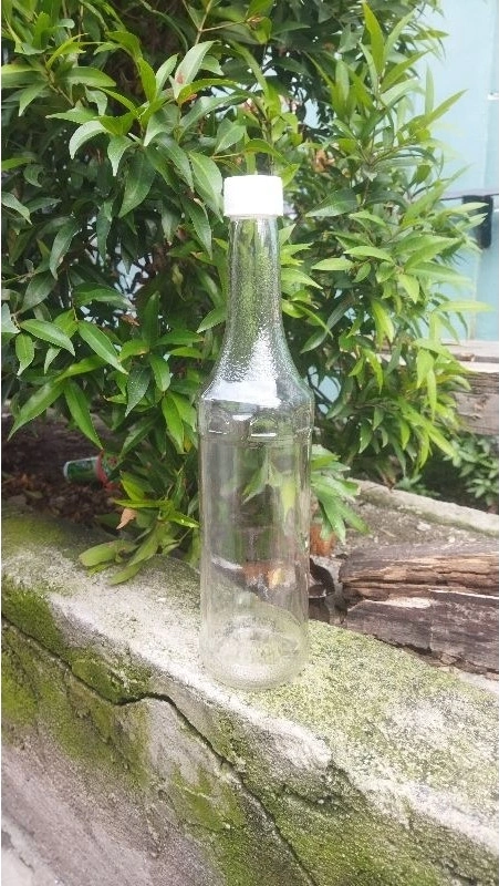 Botol Kaca 700ML Polos Tutup Dispenser Dan Ulir Monim 700ML - Image 6